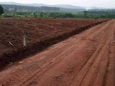 A picture of New site opened 50 100fts tittled at matuga kanyanda near