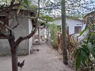 A picture of Nyumba Majohe Viwege kwa mpemba mil 30 Cont 0623351163