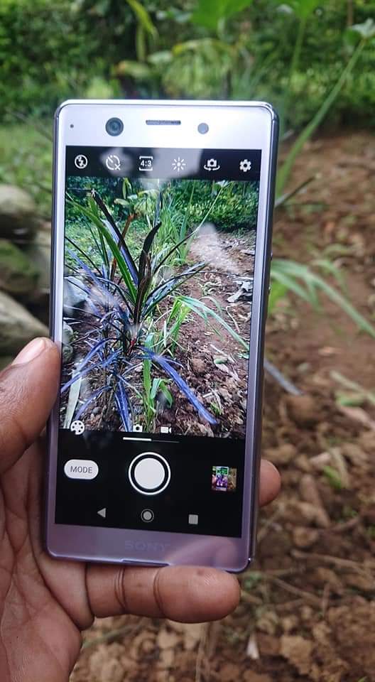 sony xperia