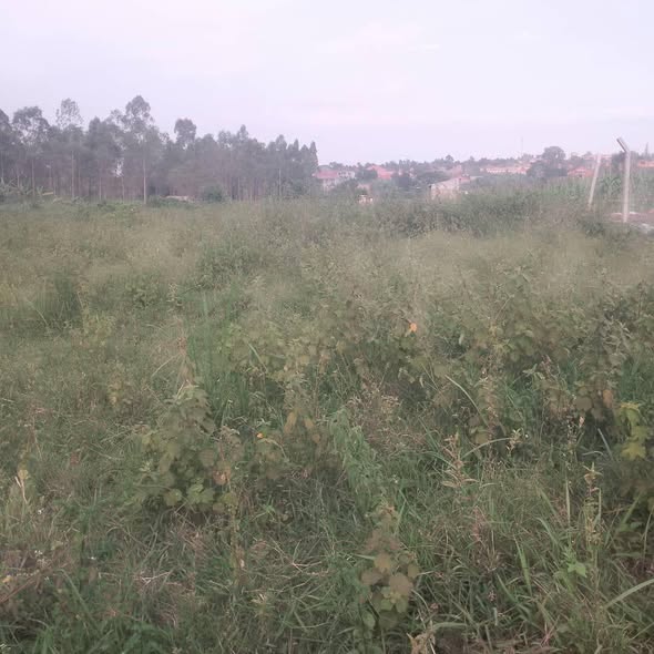 A picture of Plots of Land