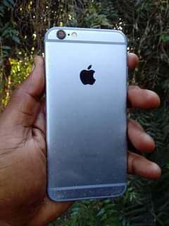 A picture of iPhone 6 plain