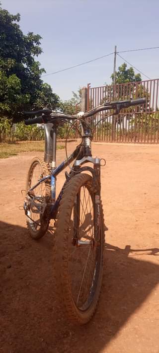 bicycle
