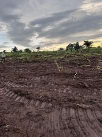 A picture of New Affordable estate Wakiso Namayumba Own 50 100ft 7 000