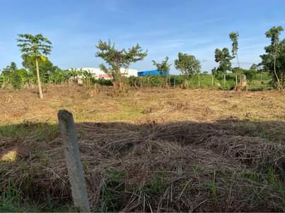 A picture of One acre for sale 70M. Bombo 23 miles only 50metres