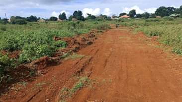 A picture of TITLED PLOTS FOR SALE IN NAMAYUMBA