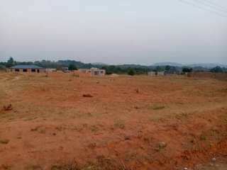 stands