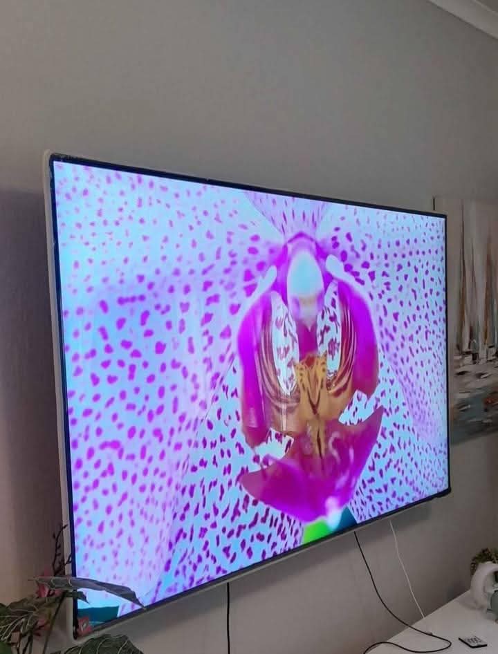 tvs