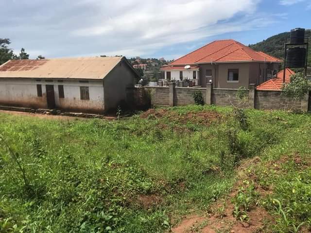 houses munyonyo