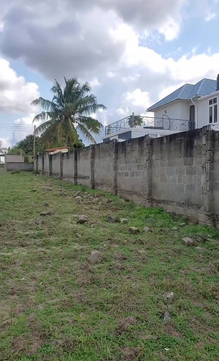 A picture of 1700 SQM Prime residential plot for sale Tsh 170 millions