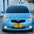 A picture of Vitz