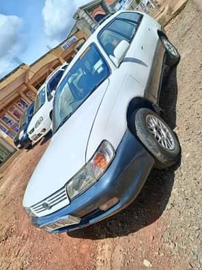 A picture of 0705627113 6 9m Perfect every where