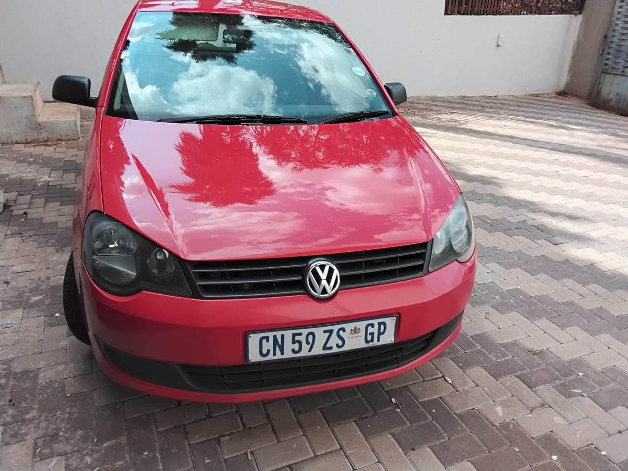 polo vivo