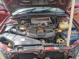A picture of Subaru