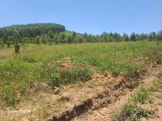 A picture of PLOTS OF LAND AT AFFORDABLE PRICES