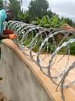 A picture of Razor wire