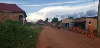 A picture of 7 plots good for shops only in Mukono Town. 0756873001