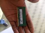 A picture of Ram