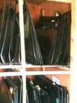 A picture of 07034369253