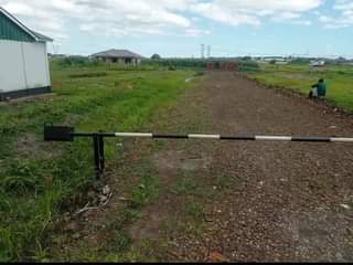 stands