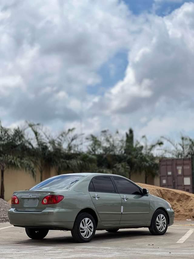 A picture of Custom duty