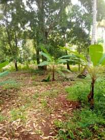 A picture of Shamba linauzwa lipo machui