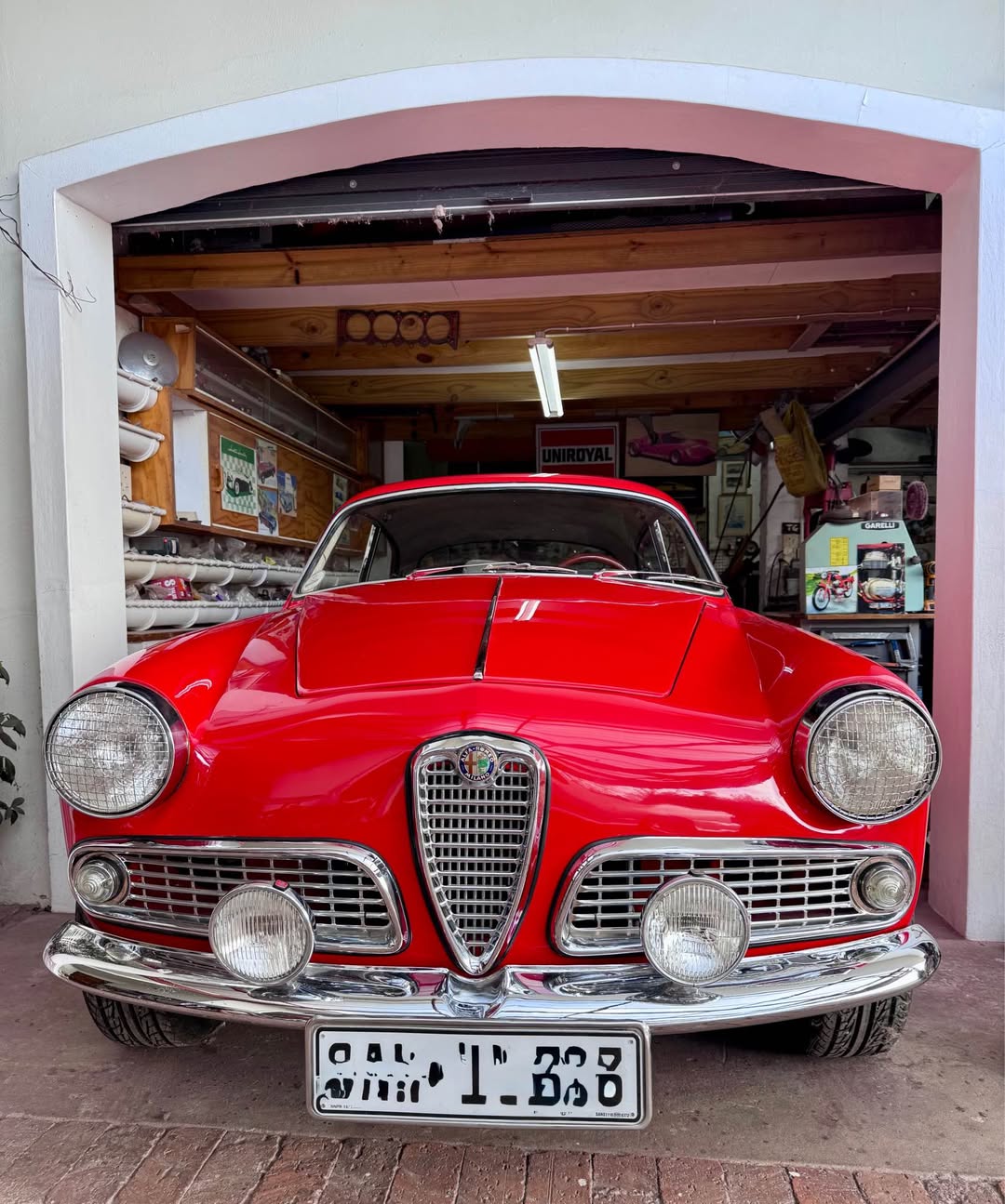 alfa romeo