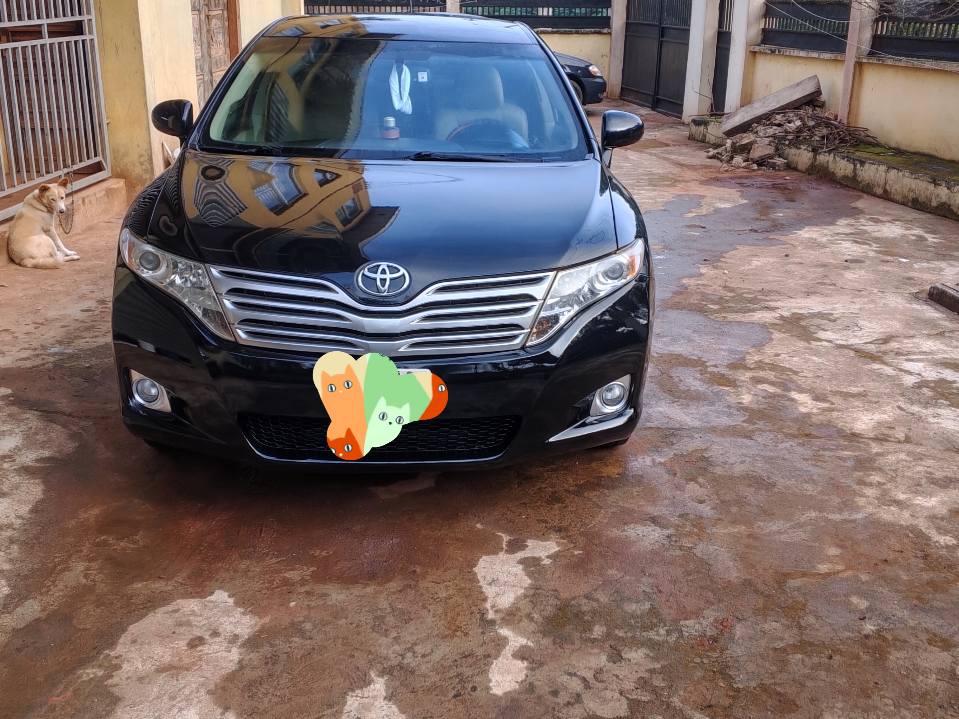 A picture of 2010 Venza