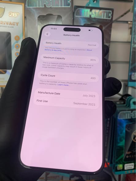 iphone pro max