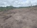 A picture of VINAUZWA LAKI 500 000 TU