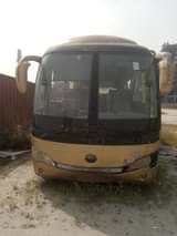 A picture of 2 Marcopolo buses