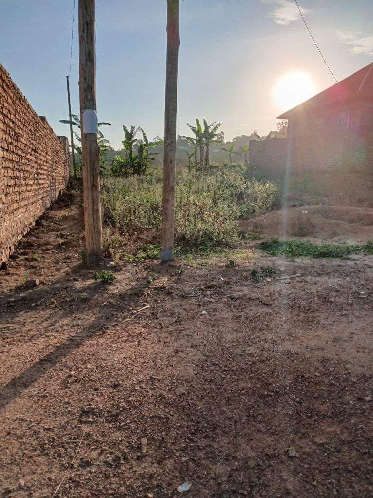 A picture of Wakiso namusera titled plot