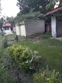 A picture of ENEO LINAUZWA