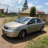 A picture of First Body 2003 Toyota Corolla 07051015025