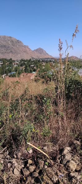 land