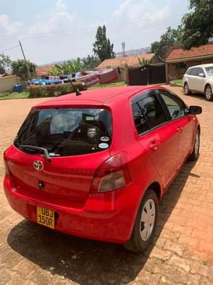 A picture of Vitz