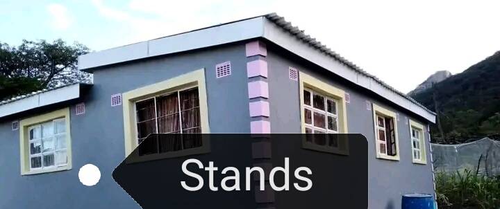 stands