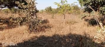mwembeshi