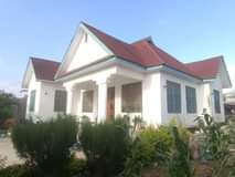 A picture of 0754908045 IMESHUKA BEI SASA NI TSHG MIL 80 000 000