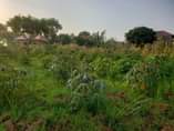 A picture of Plot for sale Nakawuka jjungo 14millions