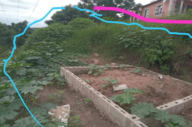 KZN C.
