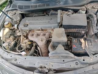 A picture of Muscle camry