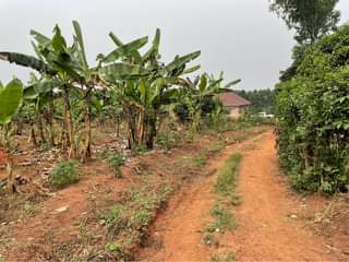 A picture of Plots for sale