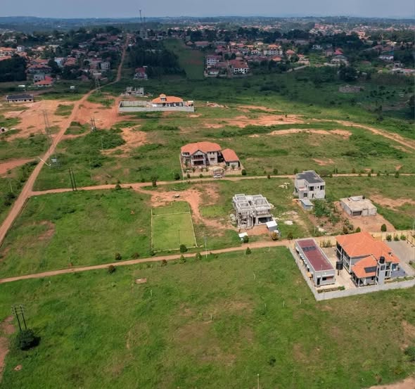 A picture of plots for sale
