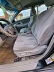A picture of Camry mussel