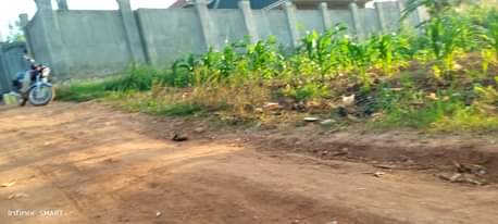 A picture of Business plot for sale in kawanda town 16m starting on