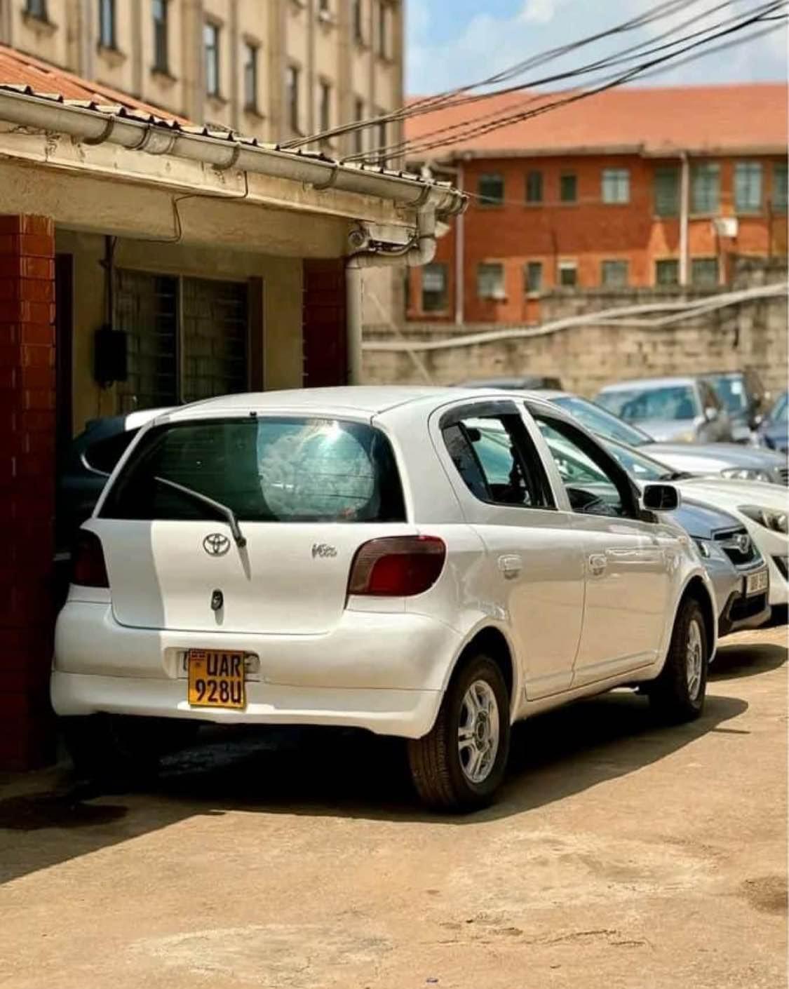 A picture of Vitz