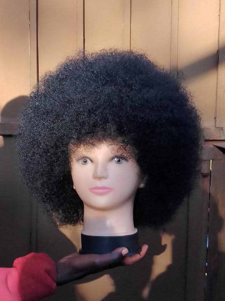 A picture of Afro Wigs