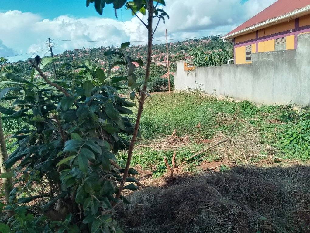 A picture of Titled plot for sale at only 36m. 0704388715 0777604192