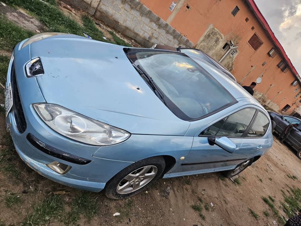 A picture of Peugeot 407