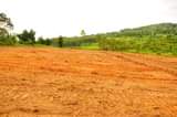 A picture of BRAND NEW KATENDE PRIME ESTATE MASAKA ROAD
